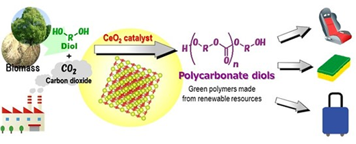 CeO2 catalyzes the direct polymerization of flow CO2