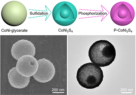 Efficient water and urea electrolysis with bimetallic yolk-shell nanoparticles