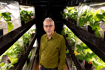Marc Van Iersel among turnip plants in a grow room at his greenhouses