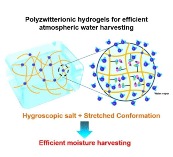 Polyzwitterionic Hydrogels for Efficient Atmospheric Water Harvesting