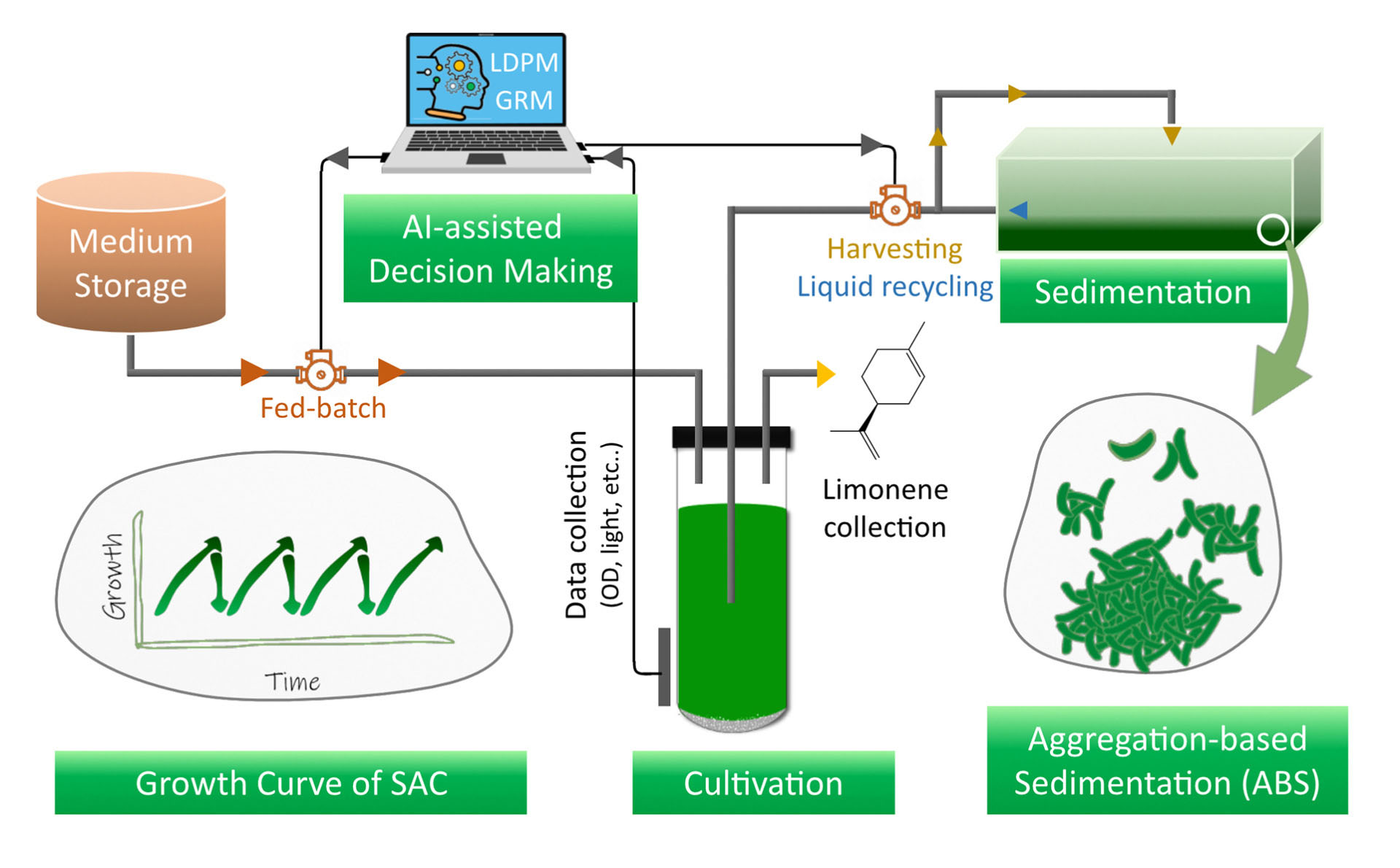 A graphic outlining the various processes needed to use artificial intelligence to produce algae for biofuel