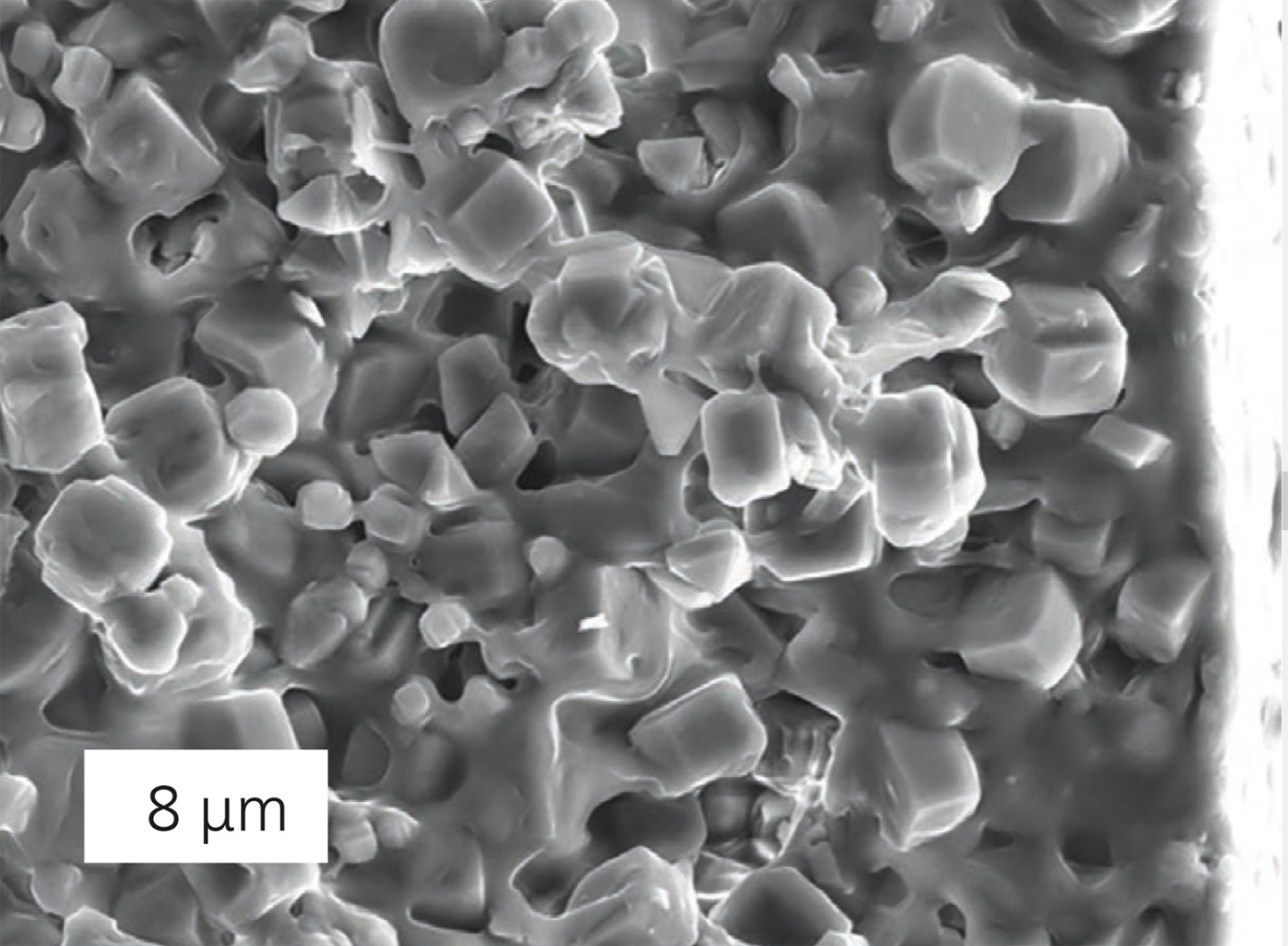 Scanning electron micrograph of a composite membrane