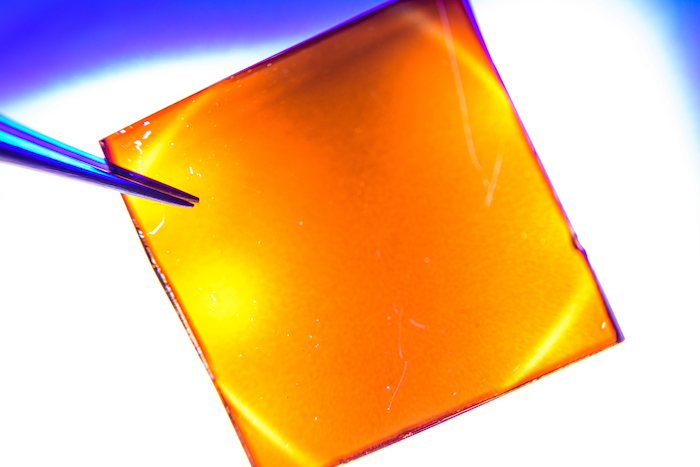 bilayer perovskite solar cell
