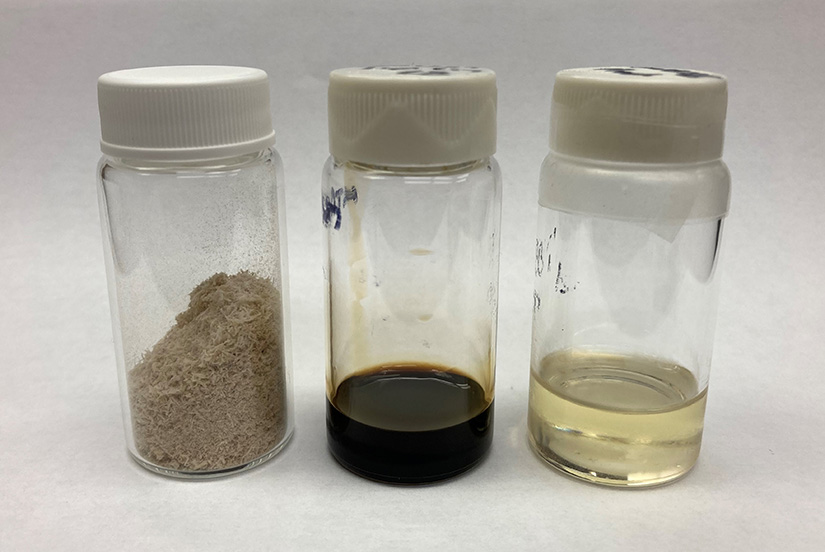 Containers are of poplar biomass (left), the extracted lignin oil, and the resulting sustainable aviation fuel