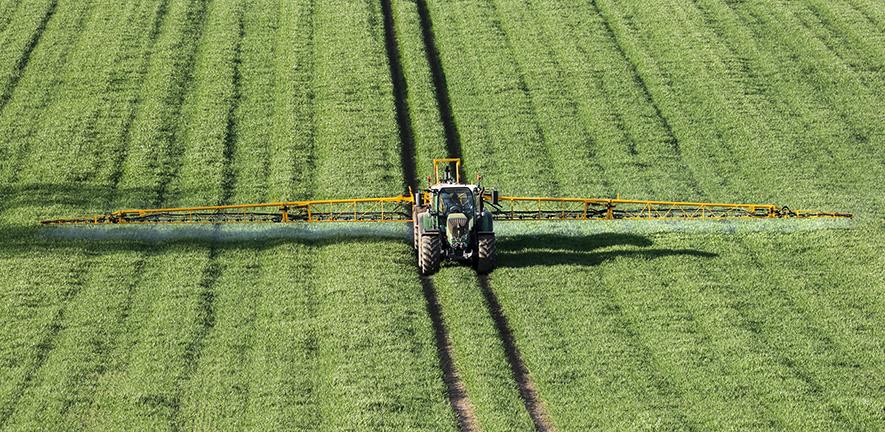 Spraying fertiliser on wheat crop