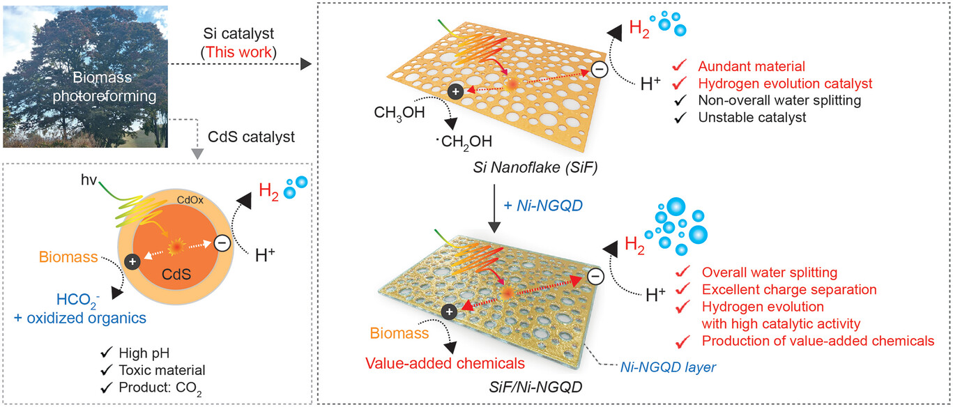 Schematic illustration of the synthesis and application of SiF/Ni-NGQDs for efficient biomass reforming and hydrogen production under solar irradiation and mild conditions