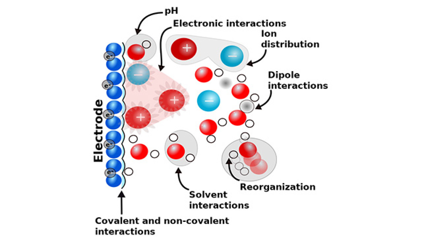 The electrochemical interface is a very complex reaction environment where several interactions and processes contribute to a chemical reaction
