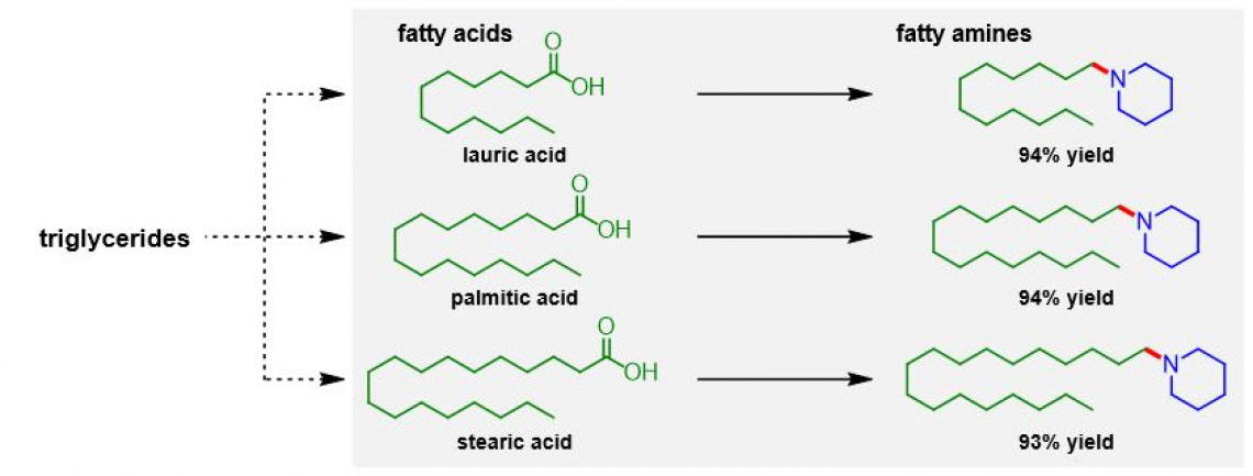 Reductive amination of biomass-derived fatty acids to fatty amines