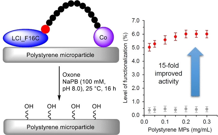 Engineered Anchor Peptide LCI with a Cobalt Cofactor Enhances Oxidation Efficiency of Polystyrene Microparticles