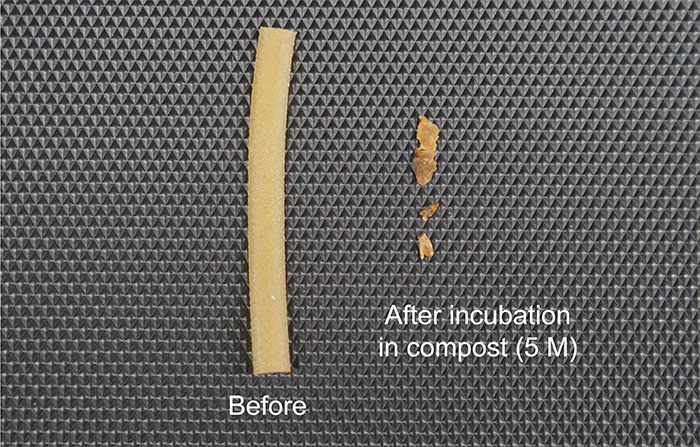 A biocomposite plastic breaks down fast in compost