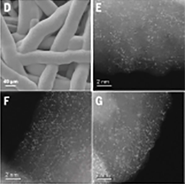 Scanning electron microscope image of the synthesized iridium oxide (D) and scanning translation electron microscope images of the iridium (bright spots) dispersed on manganese oxide electrodeposited on a corrosion-resistant platinum-coated titanium mesh (E,F,G).