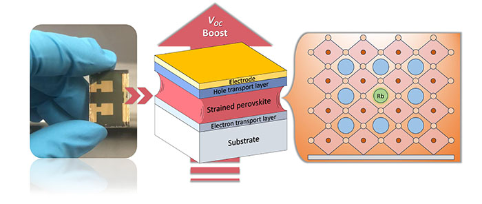 Strain-induced Rb incorporation boosts open-circuit voltage in wide bandgap perovskite solar cells