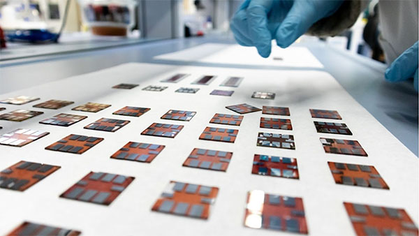 Organic solar cell samples