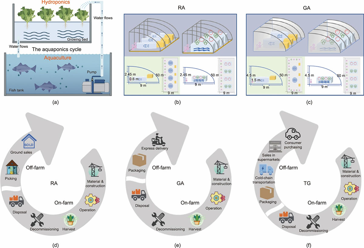 urban aquaponics