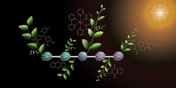 molecule