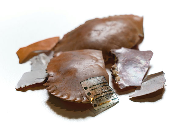 health sensor made from seafood waste