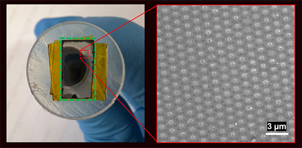 Palladium plug membrane
