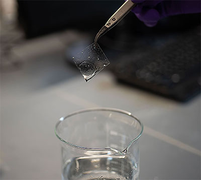 A pair of forceps grasping a square of transparent membrane, held over a beaker filled with clear liquid