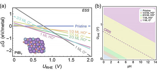 Identification of the electrochemical surface state (ESS) of monolayer PtBi2 by a DFT-based surface Pourbaix diagram
