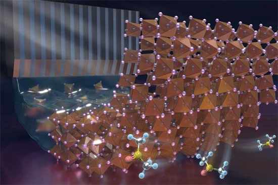 solvate crystal seeds at the buried interface