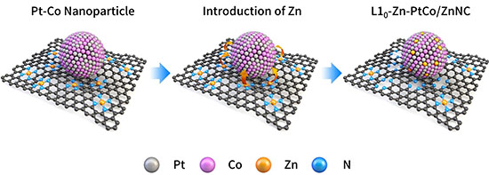 Synthesis process of Zinc-introduced Platinum-Cobalt catalyst