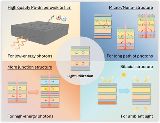 The light utilization in all-perovskite tandem solar cells.