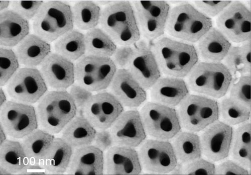 Plan-view scanning electron microscopy image of the fabricated ion pump