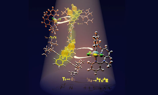 A molybdenum-based spin-flip emitter (bottom) selectively harvests triplet excitons produced when a tetracene-based singlet fission dimer (top) splits one high-energy exciton into two