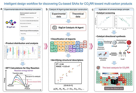 Intelligent design workflow for discovering Cu-based SAA electrocatalysts for CO2RR toward multi-carbon products