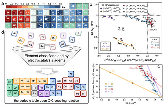 Theoretical selectivity trend of C2+ products on Cu-based SAAs
