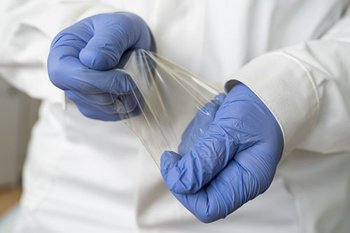 Chitosan films are well-suited for packaging applications due to their balanced elasticity and transparency