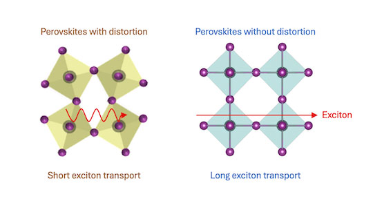 multilayered 2D perovskite with and without distortion