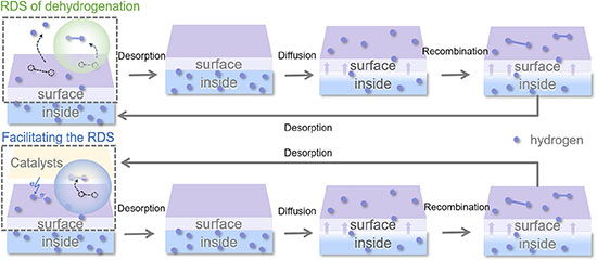 Rate-determining step in MgH2 dehydrogenation and its surface catalytic promotion