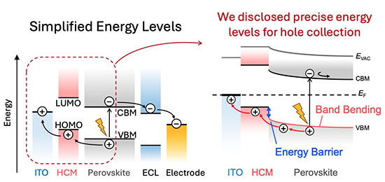 Band bending and interfacial energy barrier height as influencing factors for efficient solar cell development