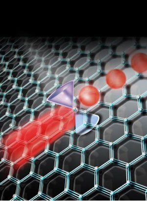 Graphene on Silicon Photonic Crystal Nanomembranes