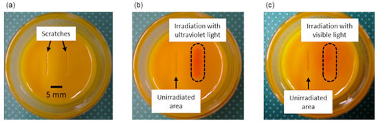 Photo-healing of a surface scratch in the particle-liquid crystal composite gel
