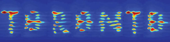 Image of cells aligned to spell Toronto