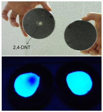 Novel Explosive Detection System Petri Dish Test