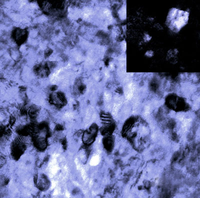 transition electron microscope image of the structure of the new tungsten-titanium alloy