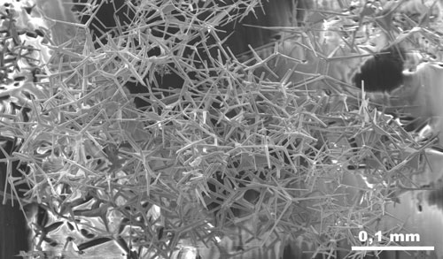 The arms of the tetrapod crystal staples interlock with each other forming strong bonds
