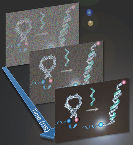 photoluminescent probes to study microscopic structures