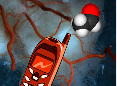 Researchers from ETH Zurich designed a 'cell phone' made of biological components