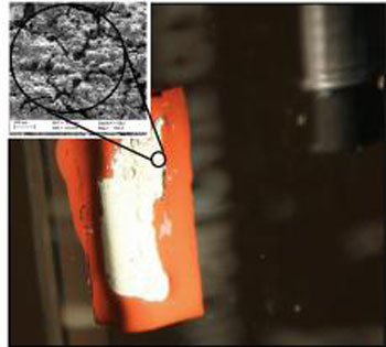 Solar hydrogen evolution by graphitic carbon nitride/p-type chalcopyrite
thin film photo-cathode
