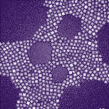  transmission electron microscopy image of nanoparticles designed for deep-tissue imaging