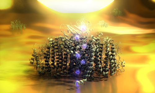 Solar cell consisting of a single molecule