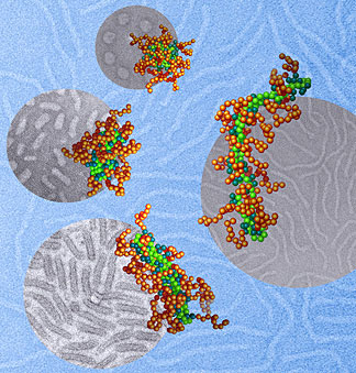 DNA molecules (light green), packaged into nanoparticles by using a polymer with two different segments