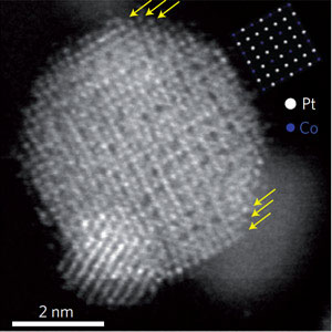 platinum-cobalt alloy nanoparticle
