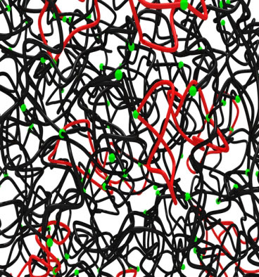 simulation of a polymer network