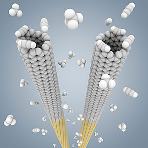 nanotube cloning
