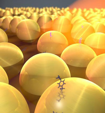 gold nanoparticles pick out a single target molecule